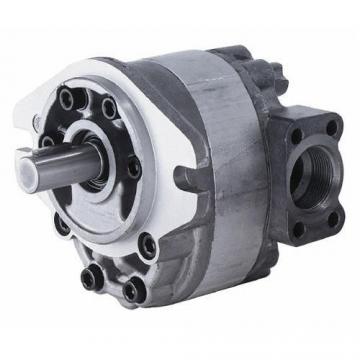 P50 Hydraulic Bearing Gear Pump Parts 313-2917-230 Shaft & gear set