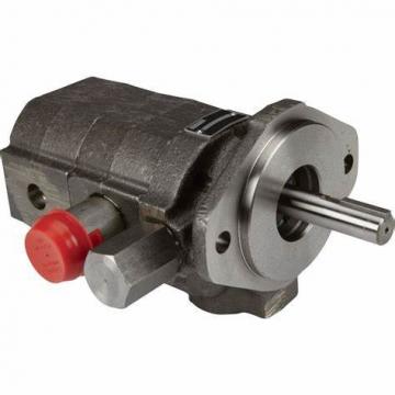 P30 Cast Iron Bearing Gear Pump Parts 312-2910-230 Gear set