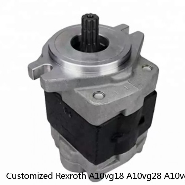 Customized Rexroth A10vg18 A10vg28 A10vg45 A10vg63 Hydraulic Piston Pump Repair Kit Spare Parts